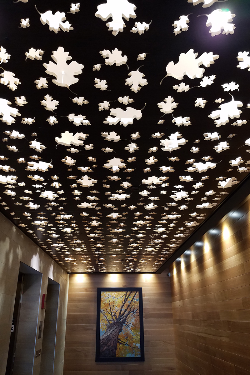Landmark Oaks ceiling treatment